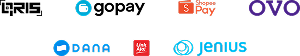 payment logo e-wallet